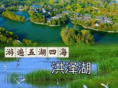 -泗洪洪泽湖湿地景区