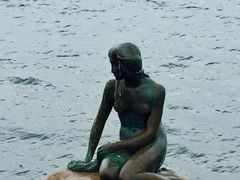 -美人鱼