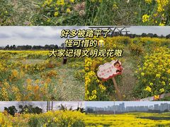 -三圣花乡旅游区