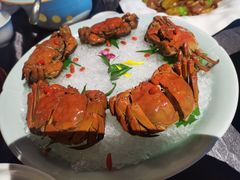 枸杞菊花醉六月黄-蟹榭·本帮江浙菜·蟹宴(五角场合生汇商场店)