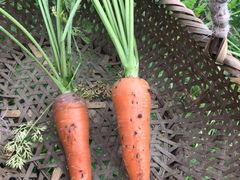 -上海多利农业发展有限公司