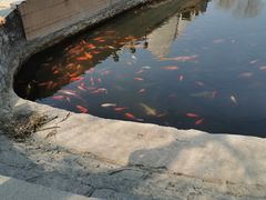-北京世界公园