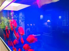 -宫七SPA·高端Massage(浦东大道店)
