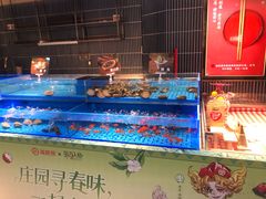 -海底捞火锅(长宁路龙之梦店)