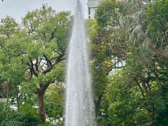 -九龙公园