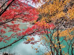 -叠溪松坪沟景区