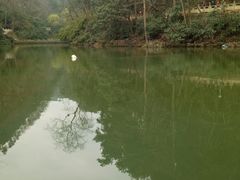 -黔灵山公园-南门售票处