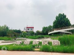 -武清南湖绿博园