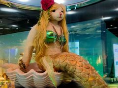 -成都泰迪熊博物馆