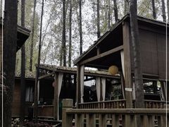 -林间山庄