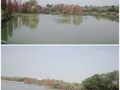 -海珠湖公园