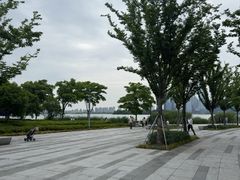 -金鸡湖景区