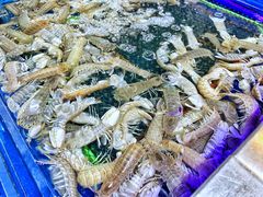 -盒马鲜生(红莲店)