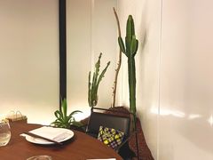 -CHIC1699远洋私厨