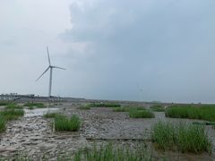 -启东黄金海滩景区