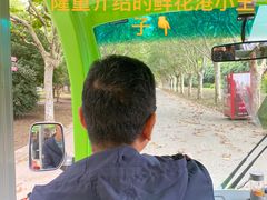 -上海鲜花港