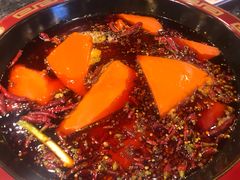 -蜀辣居鲜货老火锅(红牌楼店)