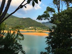 -广州市流溪河国家森林公园