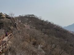 -大岭沟猕猴桃谷风景区