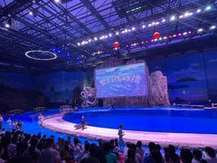 -华夏文旅海洋公园