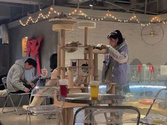 -共舞时光猫咖·狗咖(新街口店)