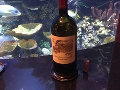 -迪拜帆船酒店海底餐厅