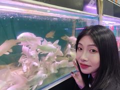 -苏州艺都古玩花鸟市场