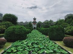 -四川大学(华西校区)