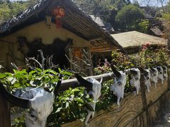-海南槟榔谷黎苗文化旅游区