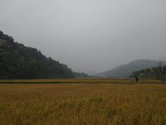 -南泥湾风景区