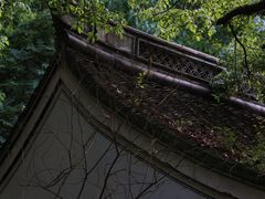 -姚江春中餐厅·太平洋大酒店