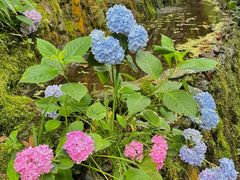 -西岭雪山大飞水景区
