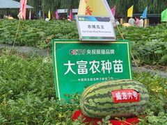 -长春农博园