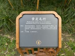 -望江楼公园