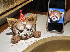 -猫里有甜