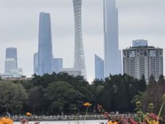 -海珠湖公园
