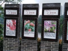-重庆彩云湖湿地公园