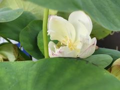 -和平门菜市场