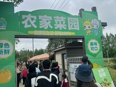 -上海长兴岛郊野公园