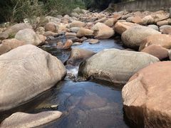 -海南热带雨林国家公园吊罗山景区