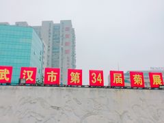 -西北湖绿化广场