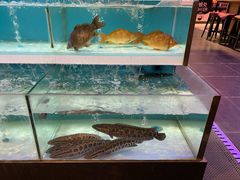 -盒马X会员店(王府井奥莱UP TOWN店)