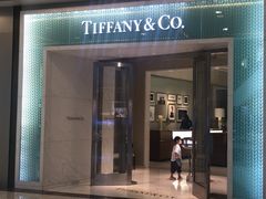-Tiffany & Co.蒂芙尼
(天津万象城店)