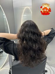 -5M HAIR SALON 旗舰店