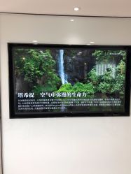 -FT菲瞳美发沙龙