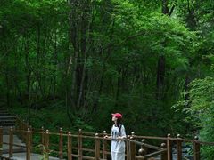 -叠溪松坪沟景区