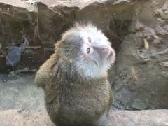 -卡塞拉自然公园