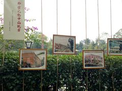 -成飞公园