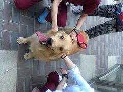 -北京恒爱动物医院(清景园分院)