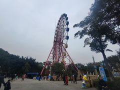 -南湖梦幻岛